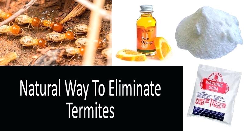 natural ways to kill termites