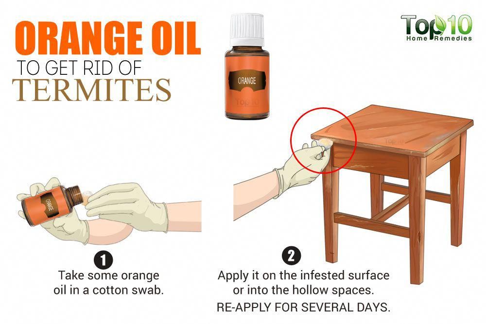 how to get rid of termites using orange oil