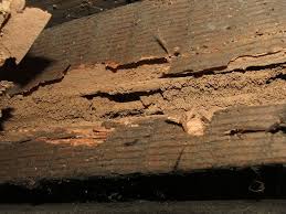 damaged timber is the sign of termite infestation