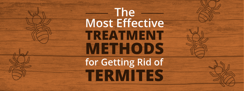 top chemicals to get rid of termites
